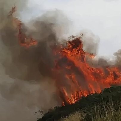 Incêndio em charneira durou 40 dias, causado por cozinhar na floresta