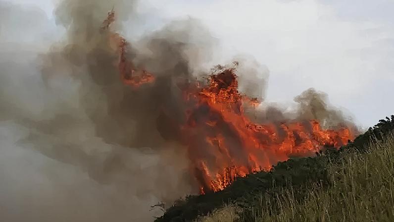 The Langdale Moor fire covered about 10 sq miles (25 sq km) at its height in August