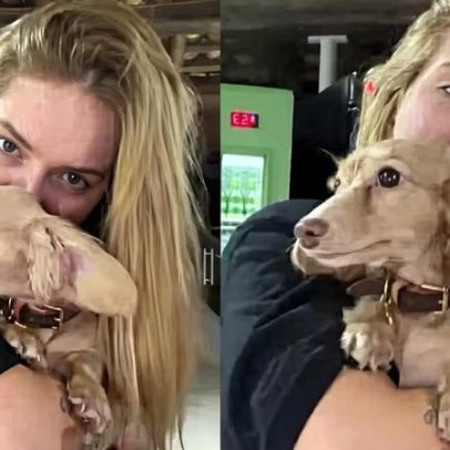 Virginia Fonseca mostra cachorra de Guedez com coleira de luxo de R$ 2 mil