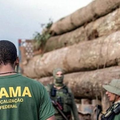 Desmatamento cai 35% na Amazônia e 6% no Cerrado, segundo dados