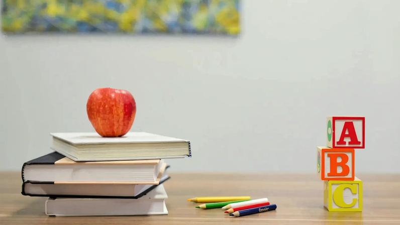 Que as escolas permitam mais liberdade aos alunos para que eles desenvolvam seus conhecimentos intuitivos, flexibilizem os currículos e as grades para permitir que os estudantes persigam seus objetivos e deixem de subestimar o conhecimento prático e o senso comum (Foto: Element5 Digital/ Unsplash)