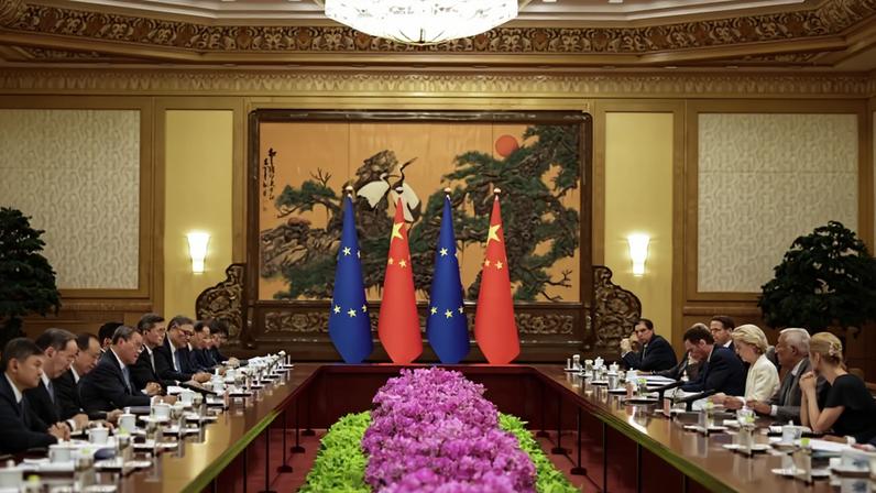 Officials sit at long tables facing each other in an ornately decorated hall. A mural on the far wall depicts large birds resting in the branches of a tree. Chinese and EU flags stand in front of the mural.