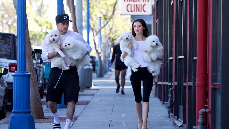Brooklyn Beckham and Nicola Peltz stepped out in matching black-and-white outfits while carrying their four rescue dogs in Los Angeles.