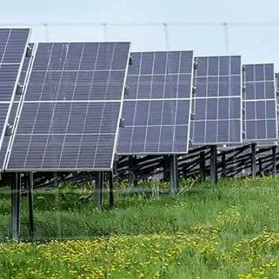Mais parques solares virão após leilão recorde de renováveis