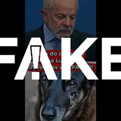 Vídeo com IA manipula fala de Lula sobre cão Orelha; registro é falso