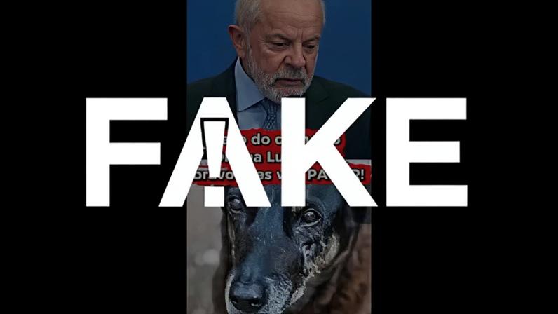 É #FAKE que vídeo mostre Lula dizendo que caso do cão Orelha 'não vai ficar impune'; registro foi manipulado com IA — Foto: Reprodução