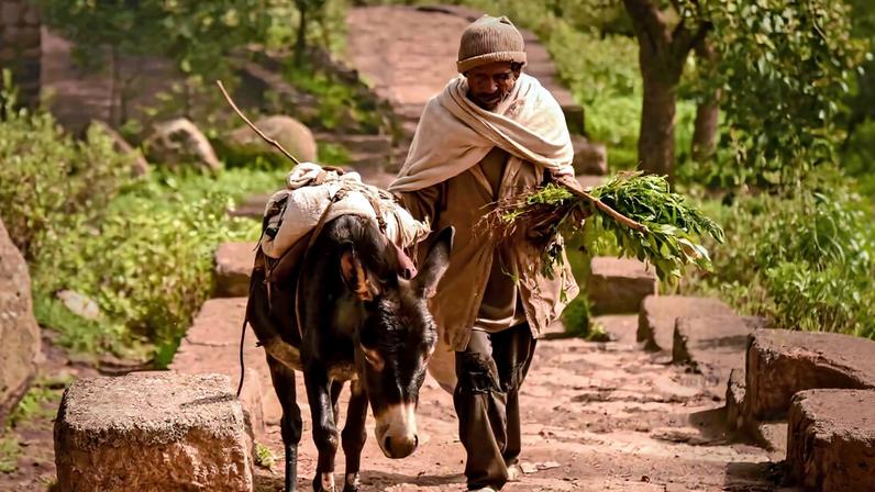 Tigray Farmer, Ethiopia.