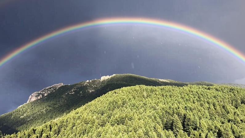 Photo by Gary Tabor.