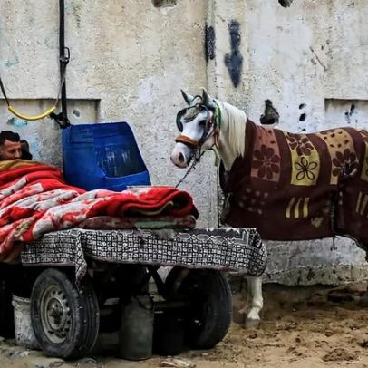 Desafios ofuscam a esperança em Gaza