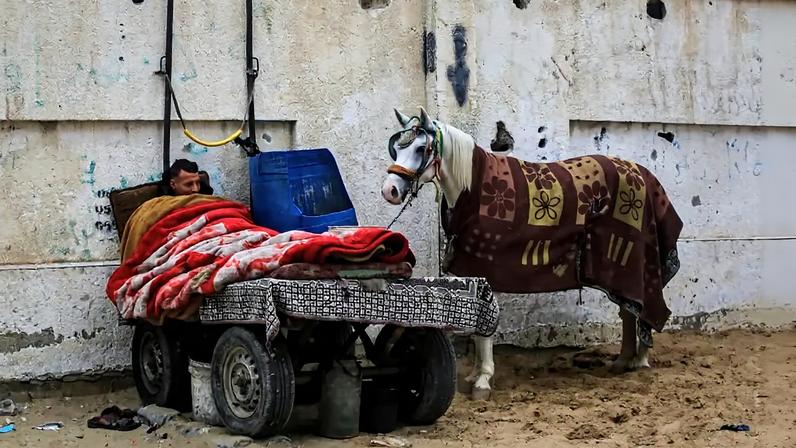 A Palestinian man sleep next to his horse in Khan Yunis, in the southern Gaza Strip, on February 10.