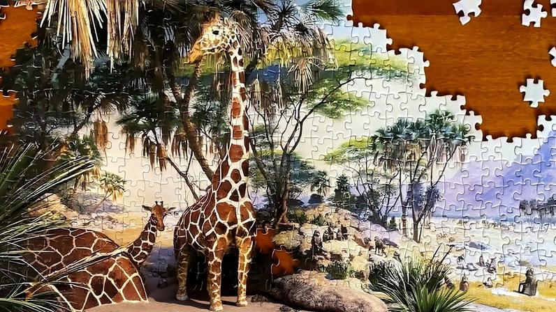 Puzzle of a natural history museum diorama. Image by Erik Hoffner for Mongabay.