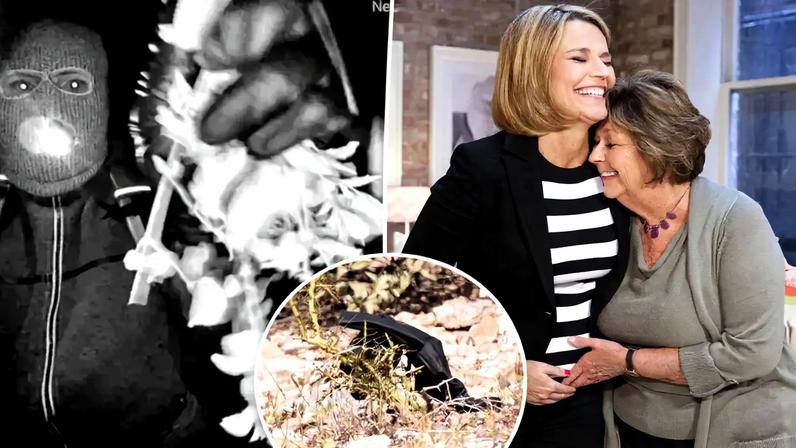 A glove found during the search for Nancy Guthrie matches the one the suspect wore in the surveillance footage of the suspect, an FBI spokesperson said Sunday.