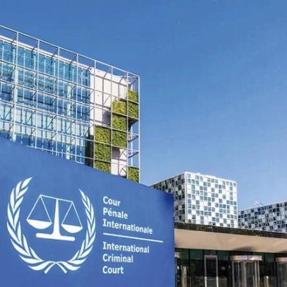 A lei da selva: questões jurídicas e ambientais em debate