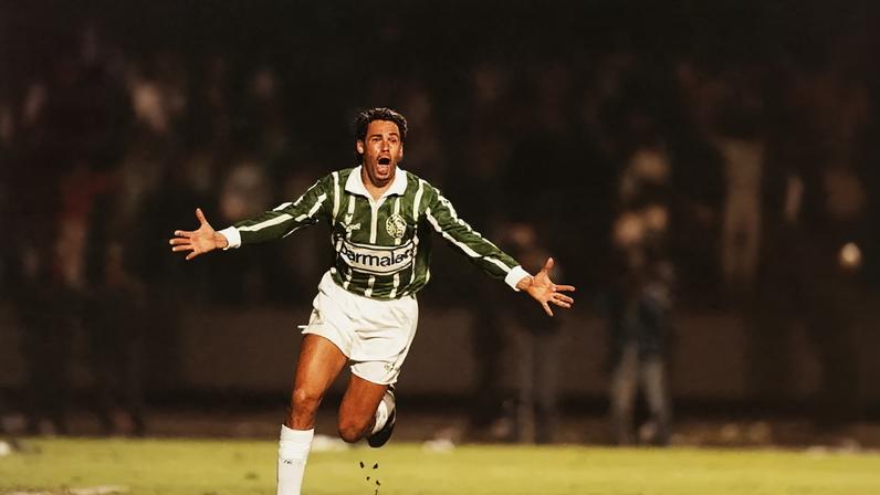 Evair - Palmeiras 1993