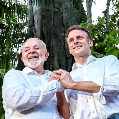 Brasil busca mais proteção para árvore nacional ameaçada; França reage
