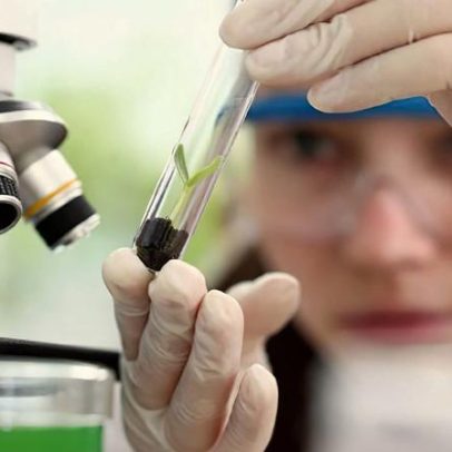 Observatório abre edital do programa Meninas Cientistas do ON