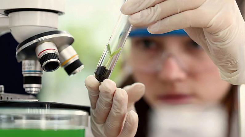 Brasília (DF) 03/09/2024 - Meninas cientistas Foto: USP/Divulgação