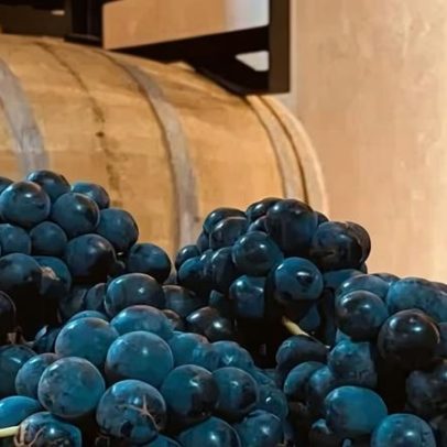 Paraná ganha rota do vinho com 60 propriedades em 30 municípios