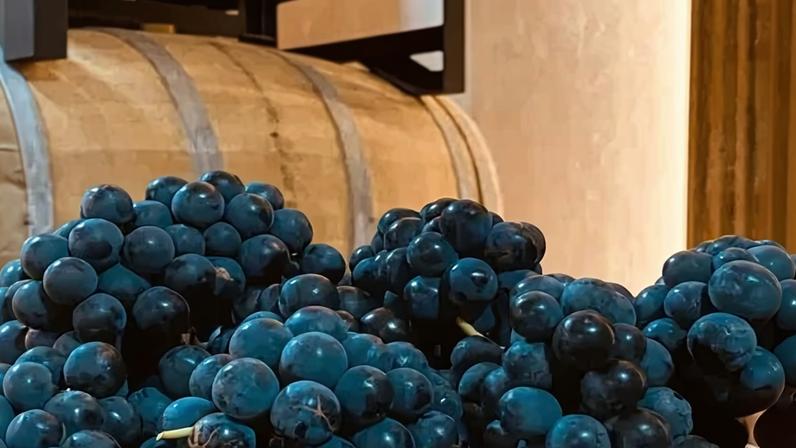 Vinícola Bertoletti, em Bituruna, é uma das propriedades da nova Rota Uva & Vinho Paraná