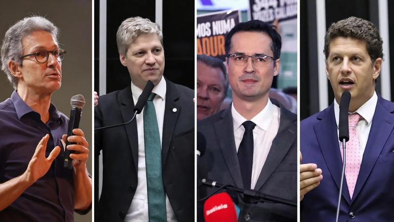 Romeu Zema, Marcel van Hattem, Deltan Dallagnol e Ricardo Salles: nomes fortes do Novo para as eleições de 2026 (Foto: Fotomontagem Gazeta do Povo (Câmara dos Deputados/Dirceu Aurélio-Imprensa Governo MG))
