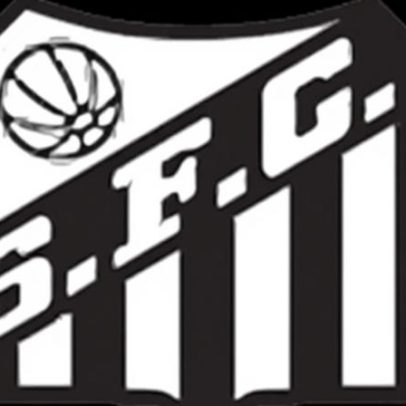 Santos enfrenta Atlético-MG em jogo da Série A 2026 ao vivo