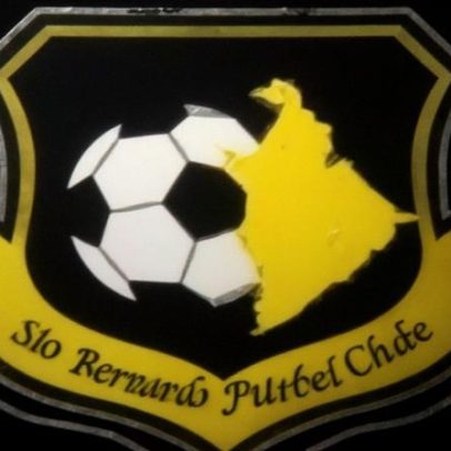 Ao vivo: São Bernardo x Fortaleza pela Série B 2026