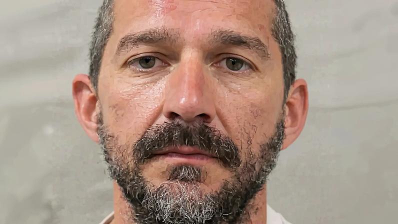 Shia LaBeouf looked glum in his mugshot (seen above) taken after his arrest on Tuesday morning.