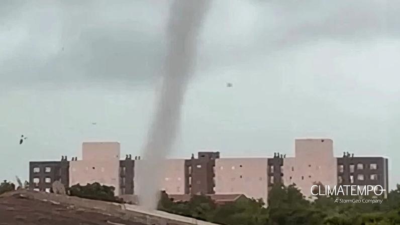 Imagem de: Pelotas Notícias