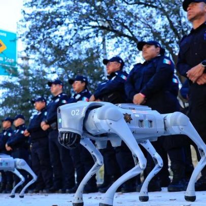 Cães-robô patrulham na Copa do Mundo de 2026