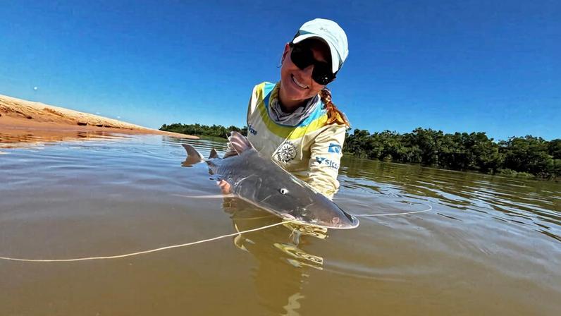 Researcher Lisiane Hahn and colleagues have tagged and released piraíba fitted with tracking devices, generating new data that reveal previously undocumented migrations of this South American species. Image courtesy of Lisiane Hahn.