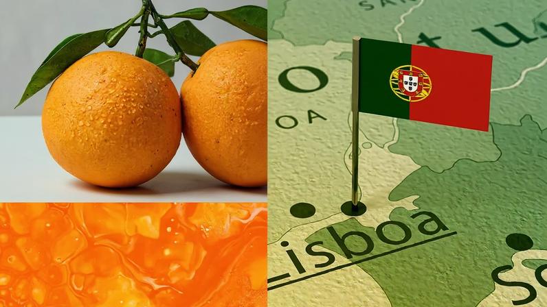 Montagem da fruta laranja e a cor ao lado do mapa de Portugal com uma bandeira.