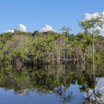Tesouro altera regras de leilões para financiar projetos sustentáveis
