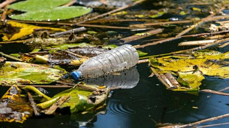Synthetic polymers like plastics take centuries to fully decompose in the environment. In contrast, natural polymers like cellulose and DNA break down completely after use. Now, researchers have taken inspiration from nature to create strong, durable plastics that break down easily at the end of a product’s life.