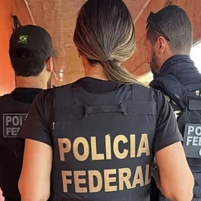 MPF denuncia esquema de crueldade contra animais no Pará