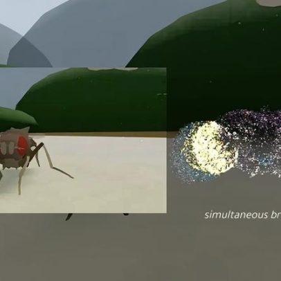 Mosca virtual ganha vida em simulação baseada em cérebro real