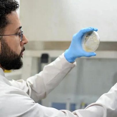 Substância contra câncer avança para testes em animais com nanopartículas