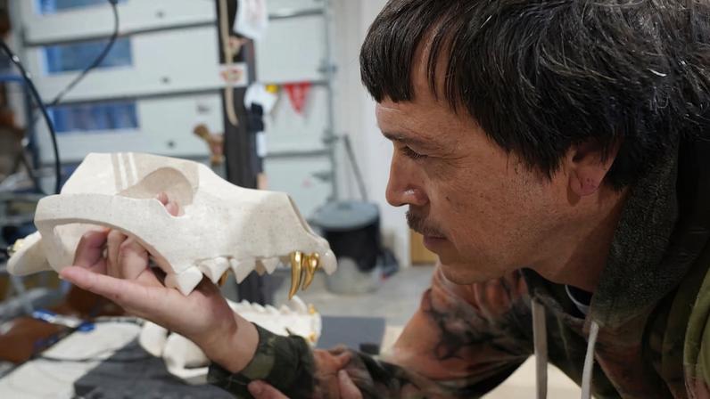 Trabalho com dingos na Bienal de Sydney ganha peso após morte de mochileiro