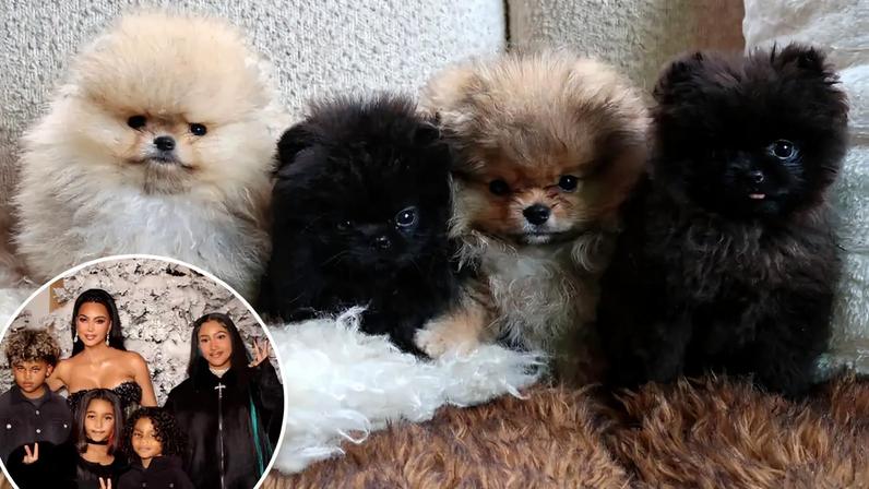 Kim Kardashian posted pictures of the four Pomeranian puppies she gifted each of her four children for Christmas on Instagram Saturday.