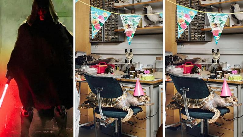 O que fazer, ouvir e ver na Europa nesta semana