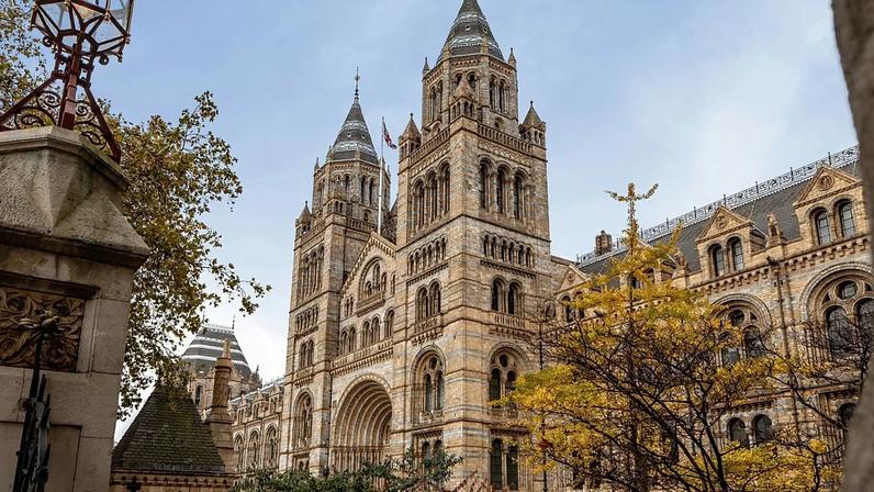 The Natural History Museum was the UK's most popular tourist attraction in 2025
