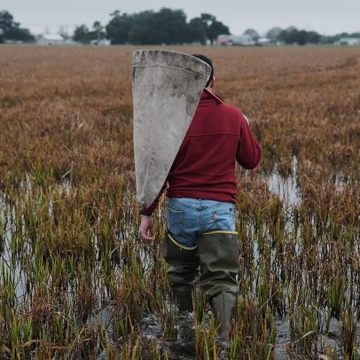Conflitos impulsionam a Ásia Central a repensar agricultura e segurança alimentar