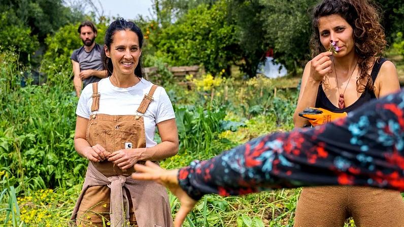 Fazendas europeias sofrem com guerra no Irã, agricultores regenerativos previram