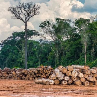 Estudo aponta que desmatamento explica queda de chuvas na Amazônia