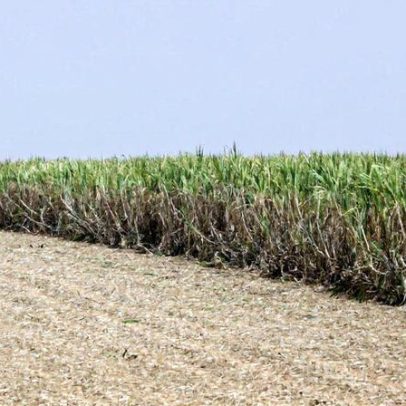 Crise da Raízen expõe fragilidades do mercado de etanol no Brasil