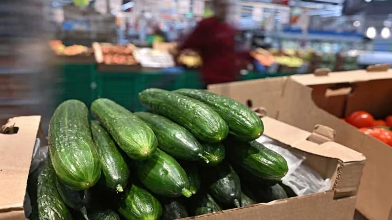 Pepino se tornou símbolo de inflação na Rússia — Foto: REUTERS/Alexey Malgavko