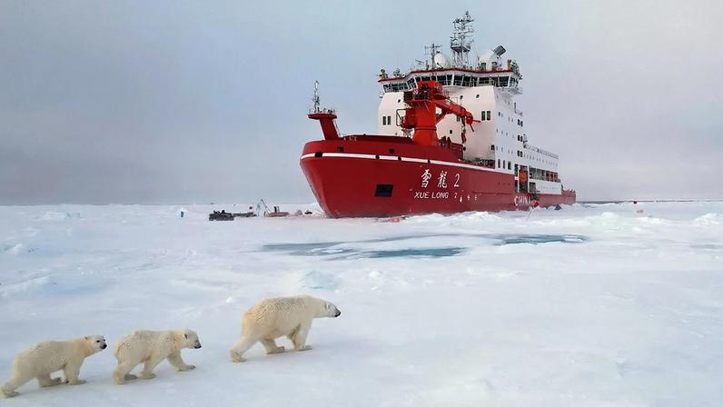 A polar bear walks with her cubs near the Xue Long 2 ship in the Arctic
