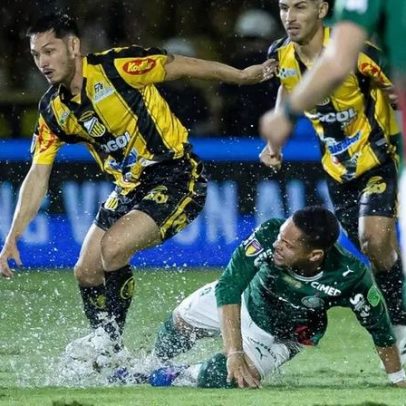 Palmeiras recebe prêmio milionário pelo título paulista