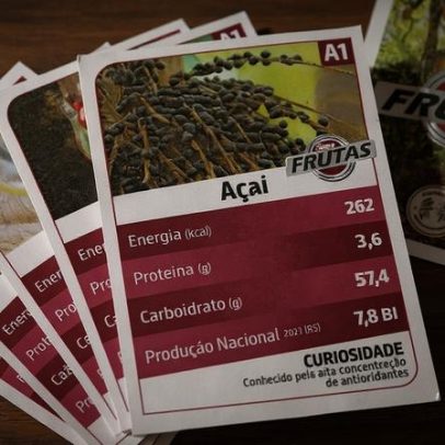 Jogo inspirado no Super Trunfo revela diversidade de frutas amazônicas na USP
