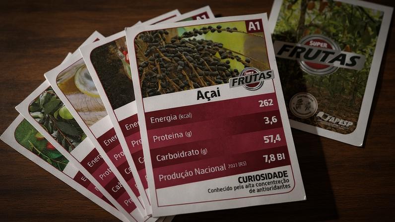Cartas do jogo Super Frutas, criado por pesquisador da Esalq-USP – Foto: Cedida pelo pesquisador