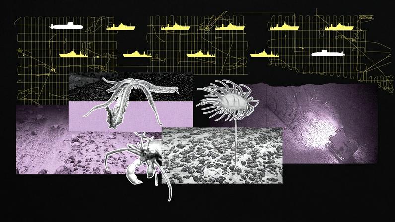 Frota chinesa de mineração em alto-mar pode rastrear submarinos dos EUA